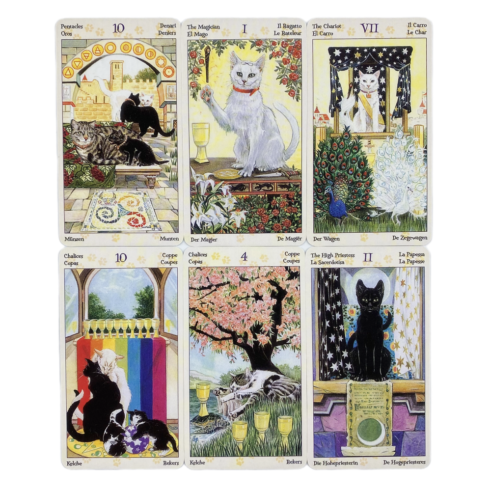 78 Cards Deck Tarot Of Pagan C – Board Game Quantum recenzja i cena